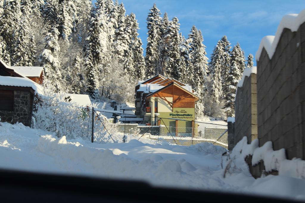 Pine Wood Apartment Vyšné Ružbachy Exterior foto